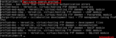 Tutorial Cara Konfigurasi FTP Server di Debian 8 untuk Transfer Data