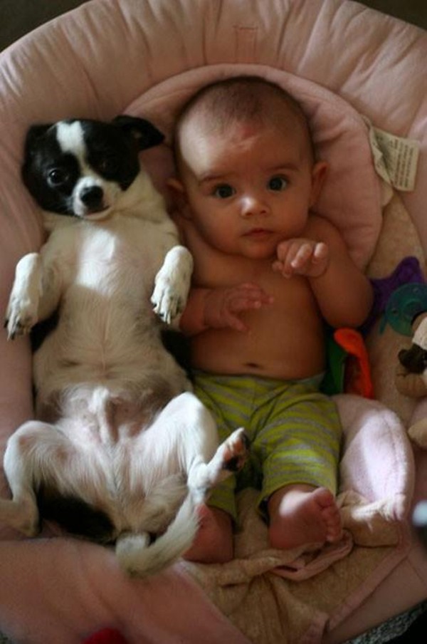 ... funny pictures of cute kids hanging out with animals, kids and animals