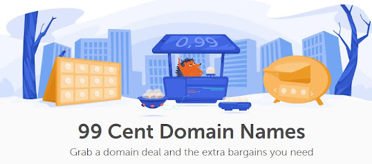 What is Premium DNS Name Cheap - Just $0.99! Get a popular domain today!
