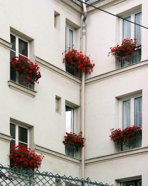 Windows and flowers, Building on rue Monge seen from the Arènes de Lutèce, Arenas of Lutetia, Quartier Saint-Victor, 5th arrondissement, Paris