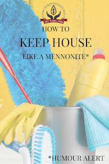 Country Fair Blog Party Blue Ribbon Winner: Just Plain Living's How to Keep House Like A Mennonite