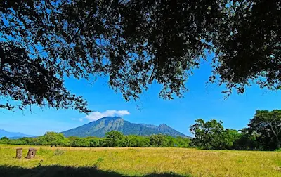 taman-nasional-baluran