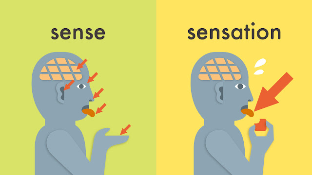 sense と sensation の違い