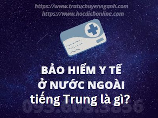 "Bảo hiểm y tế ở nước ngoài" tiếng Trung là gì?