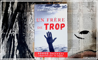 Livre : Un frère de trop • Sébastien Theveny