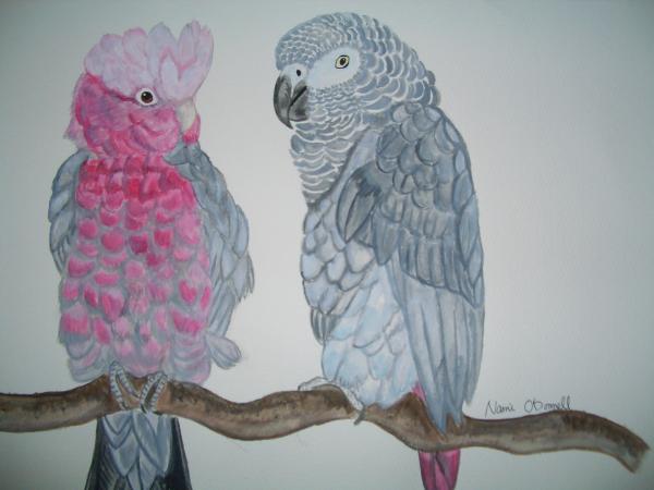 Bird African Grey