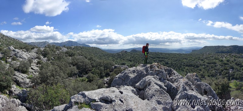 El Cintillo - Sierra Baja de Ubrique - Paso del Bombo - Ubrique - Cañada de los Pernales