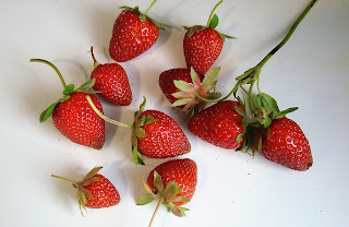 Fresones (Fragaria x ananassa)