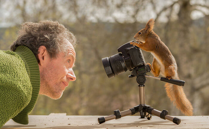 Photographer Captured Squirrels Every Day For Six Years And Here Are The Incredible Results