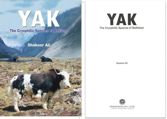 YAK