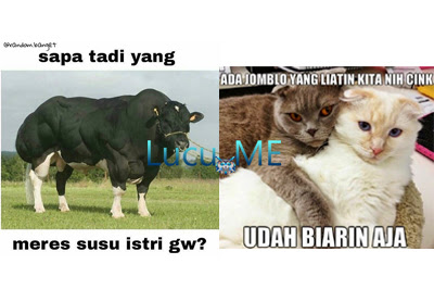 29 Meme Kata-Kata Lucu Andai Binantang Bisa Bicara Ini Kocak Banget