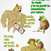 Memes Cheems: Ponte con uno de tu tamaño. Vuelo. Kid cheems vs Doge .