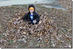 leaves 001