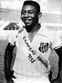 imagen de pele