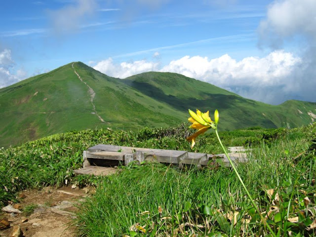 仙ノ倉山への登山道