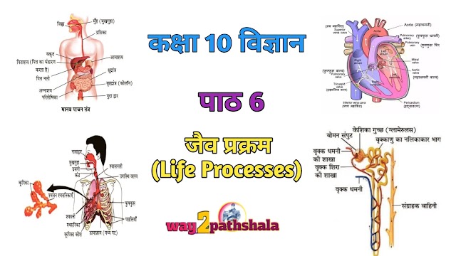 कक्षा 10 विज्ञान,पाठ 6 जैव प्रक्रम PDF इन हिन्दी (Life Processes) way2pathshala 