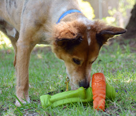 these are basically the loudest squeaky dog toys in existence