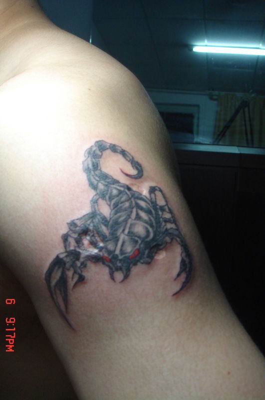 Scorpion 3D Tattoo Design