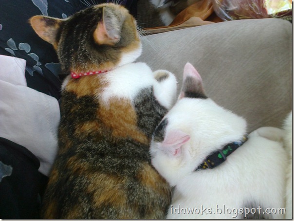 Photo0422