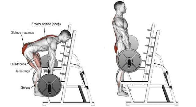 barbell-rack-pull