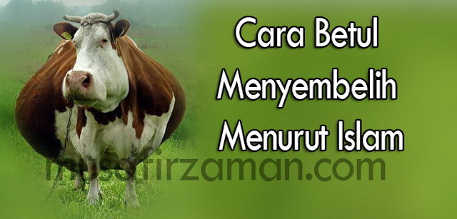 Cara-sembelihan-yang-betul