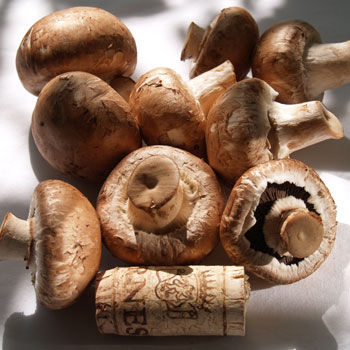 Buy Chestnut Fungi (Pholiota adiposa) -Mushrooms