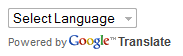 Widget Terjemahan/Google Translate di Blog