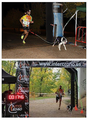 Mushing Aranjuez Canicross