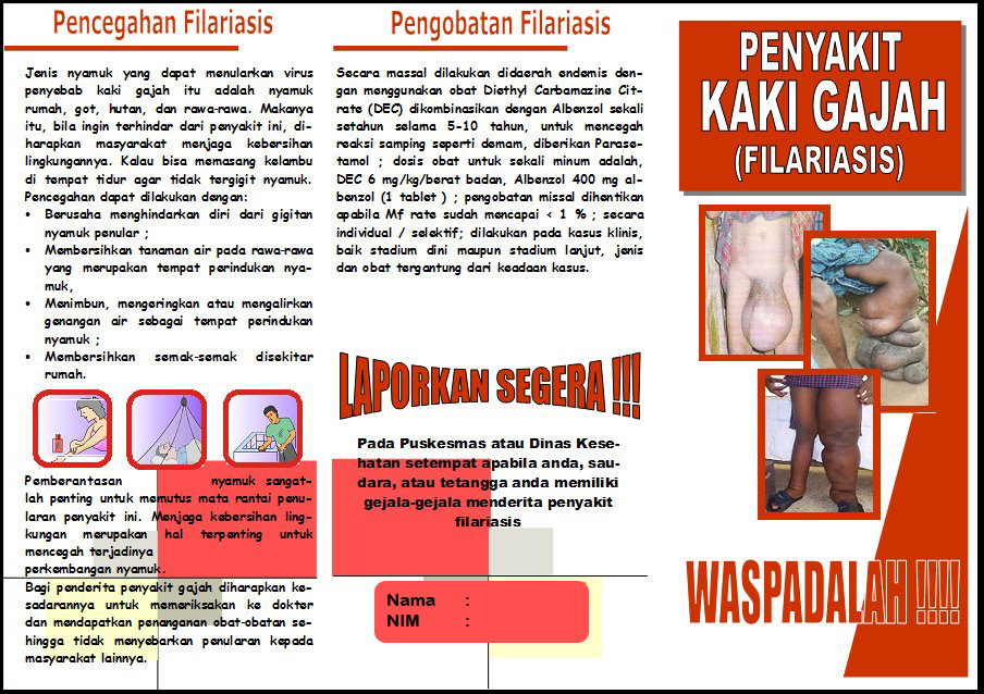 CoRetan Ku: Leaflet Filariasis