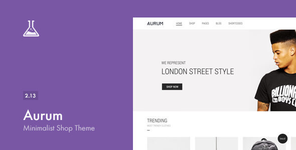 Aurum v2.13 - Themeforest Minimalist Shopping Theme