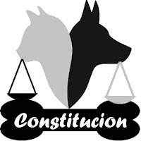  constitucion