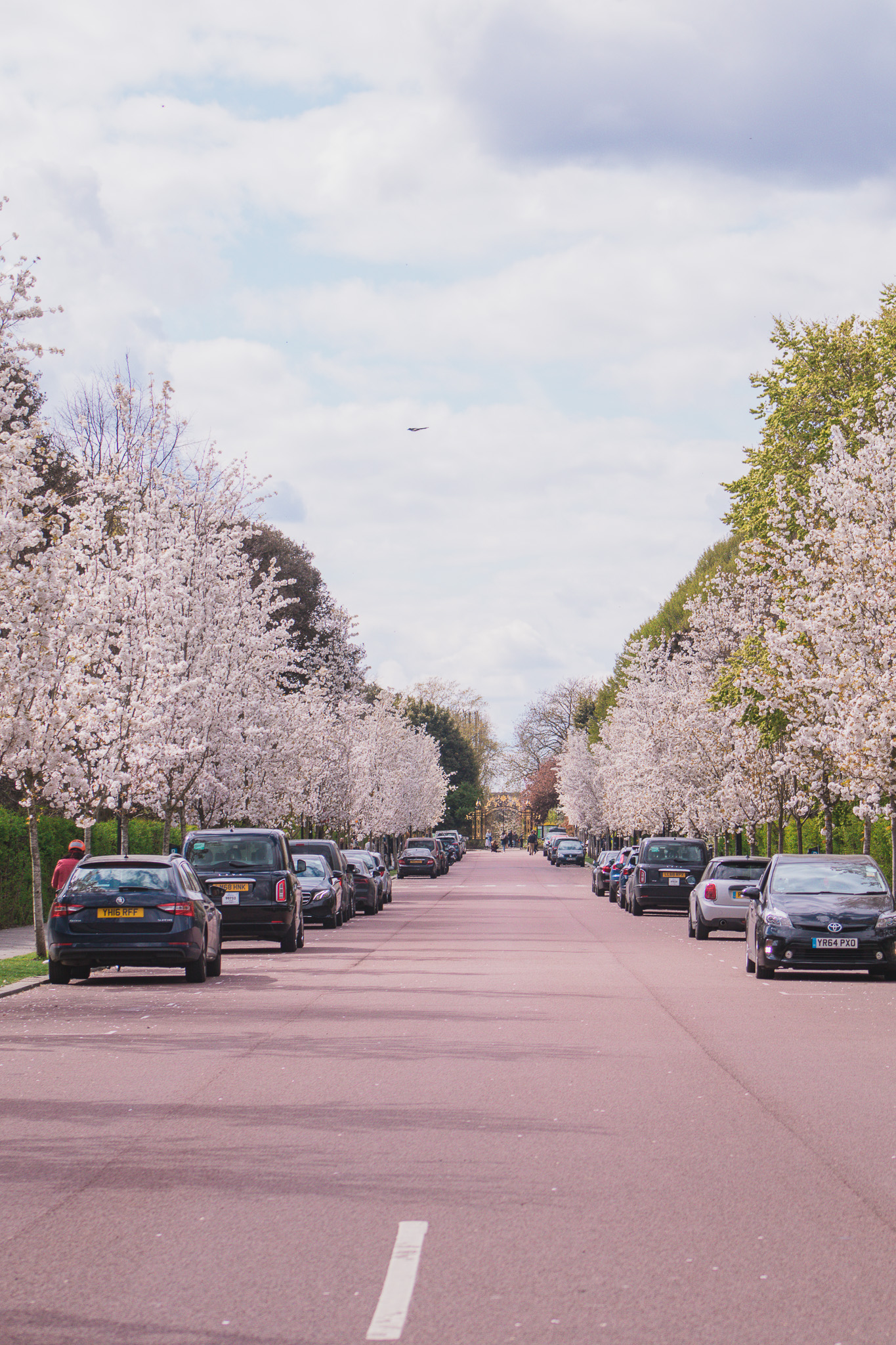 Regent's Park in bloom