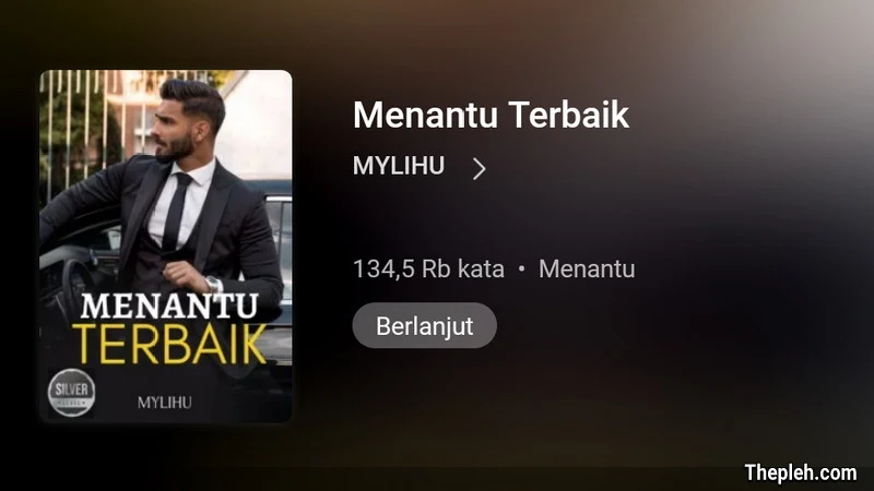 Novel Menantu Terbaik Full Bab