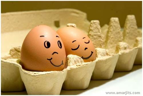Eggs-amarjits (9)