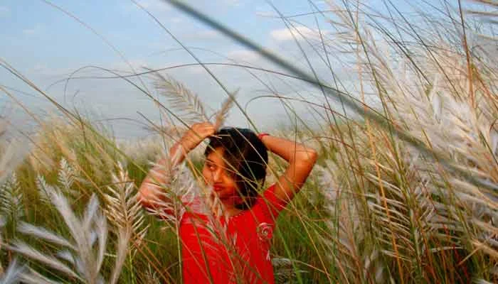 কাশফুলের ছবি তোলার স্টাইল -  কাশফুলের ছবি ডাউনলোড - Kashful picture download - NeotericIT.com