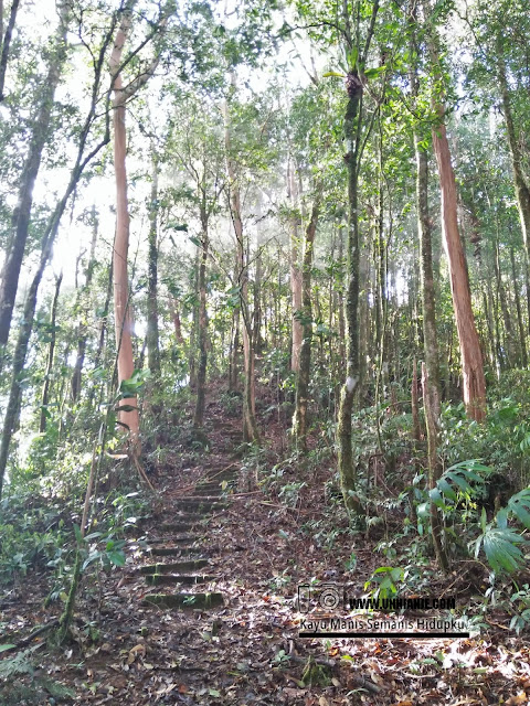 Pengalaman Mendaki Gunung Lucia Tawau Part 2