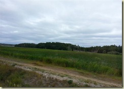 20130723_Traveli g to Stockholm -1 (Small)