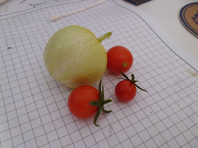 Lemon Cucumber and Cherry Tomatoes