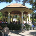 View album