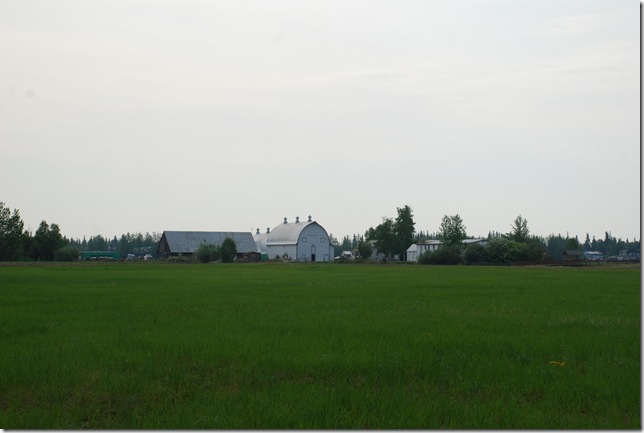 06-03-09 Creamer's Refuge 007