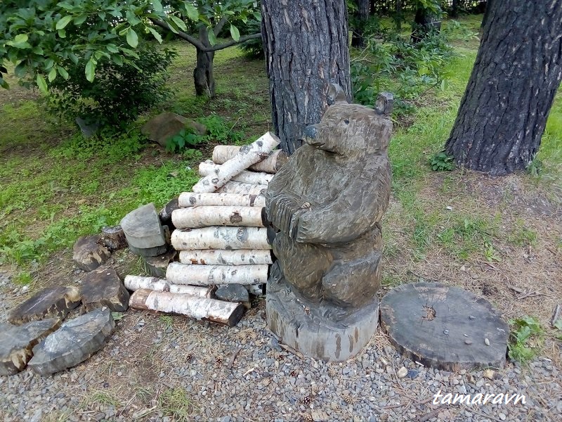 В ботаническом саду