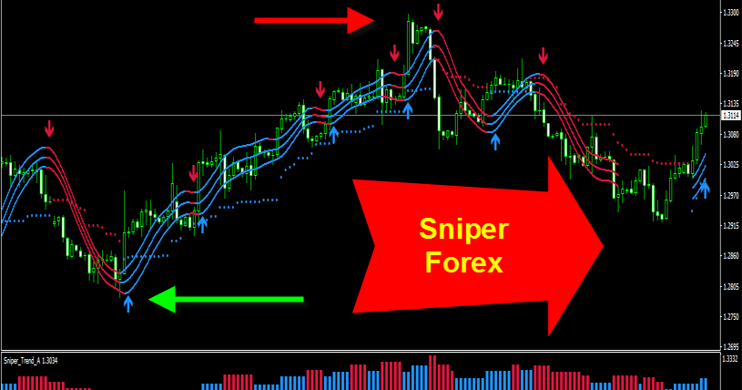 s&g forex system download