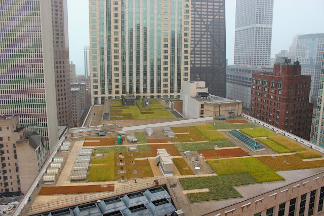 Rooftop gardens and skyscrapers in downtown Chicago by Hello Lovely Studio