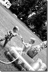IMG_5317 IMG_5317