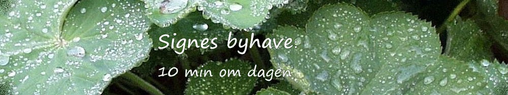 Signes byhave: 10 min om dagen