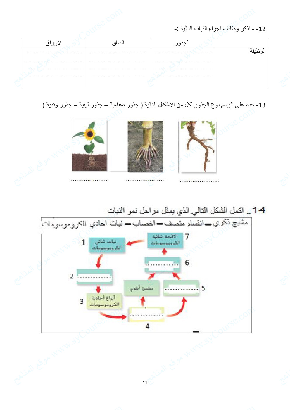 مراجعة نهائية قبل امتحان نهاية الفصل, الصف السابع, علوم, الفصل 