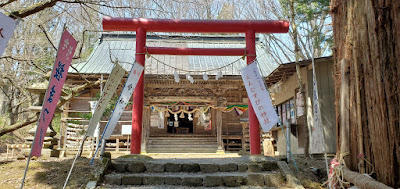 磐椅神社の鳥居杉