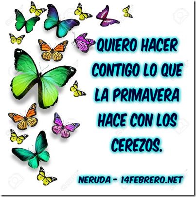 primavera con los cerezos
