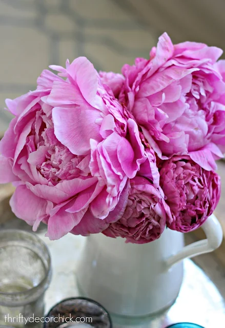 How to grow beautiful peonies