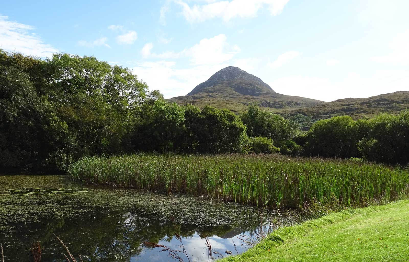 Diamond Hill Connemara